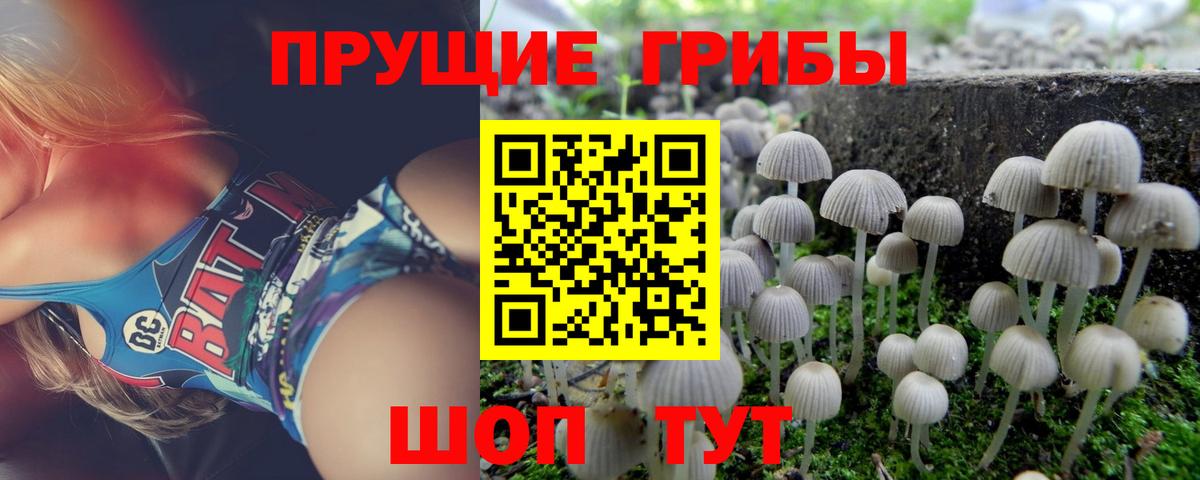 Галлюциногенные грибы Cubensis  Псилоцибиновые грибы Psilocybe  Богородицк  Вход с VPN 